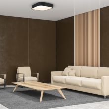 Ceiling  ASTRO BLACK 24W LED