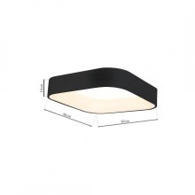 Ceiling  ASTRO BLACK 24W LED