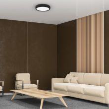Ceiling  GEA BLACK 36W LED Ø390 mm