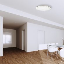 Ceiling  OPTIMA 52W LED Ø480 mm