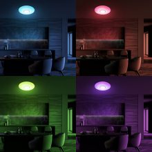 Ceiling  VELA SMART Ø420 mm 24W LED RGB