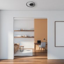 Ceiling  lamp FANTASY 30W LED