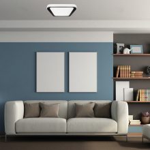 Ceiling  QUADRO BLACK 38W