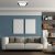 Ceiling  QUADRO BLACK 38W