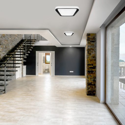 Ceiling  QUADRO BLACK 38W