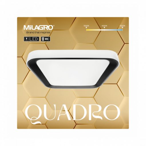 Ceiling  QUADRO BLACK 38W