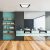 Ceiling  QUADRO BLACK 66W
