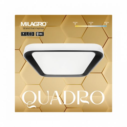 Ceiling  QUADRO BLACK 66W