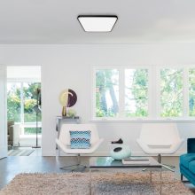 Ceiling  FABIO BLACK 23W