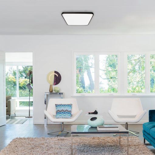 Ceiling  FABIO BLACK 23W
