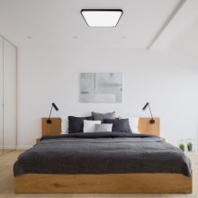 Ceiling  FABIO BLACK 23W
