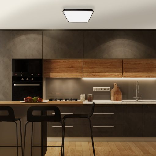 Ceiling  FABIO BLACK 35W