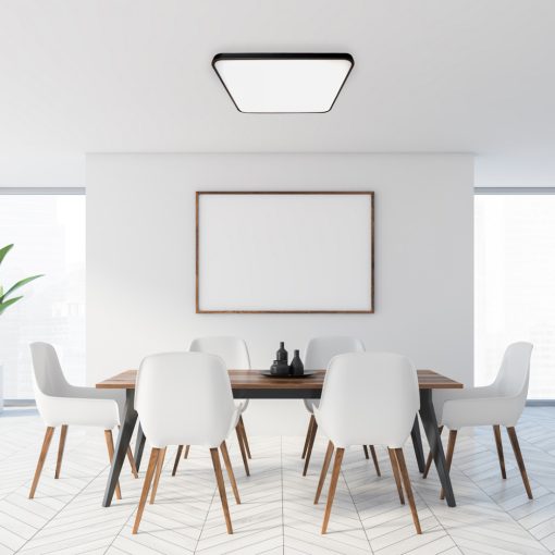 Ceiling  FABIO BLACK 35W