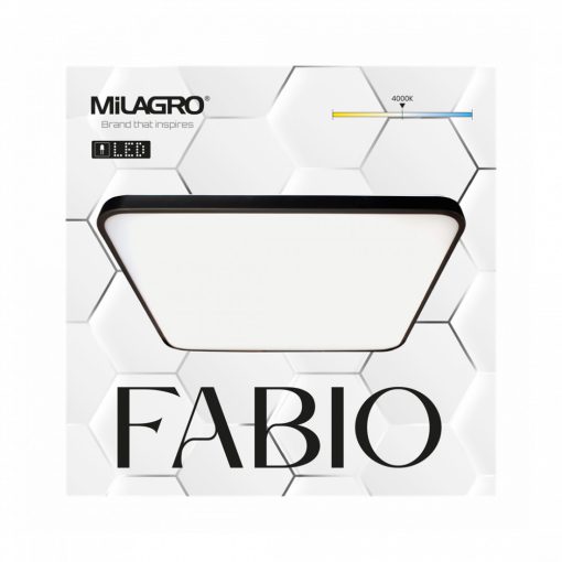 Ceiling  FABIO BLACK 35W
