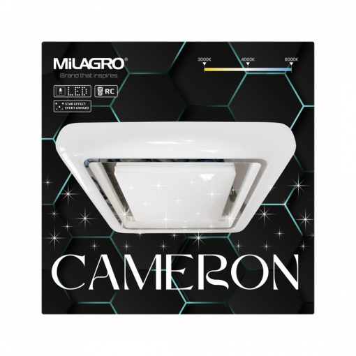 Ceiling  CAMERON 38W