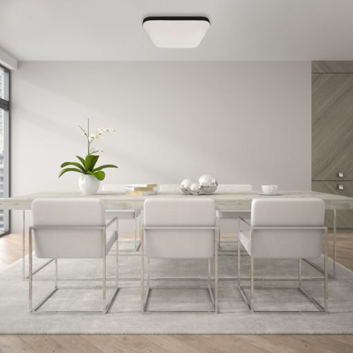 Ceiling  NEMO BLACK 16W PIR