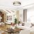Ceiling  GEA GOLD 36W LED Ø390 mm