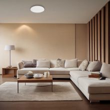 Ceiling  ALLISTER 36W LED + pilot