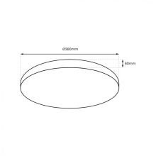 Ceiling  ALLISTER 36W LED + pilot