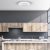 Ceiling lamp  LED ZONDA SILVER 48W with fan