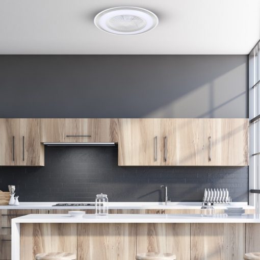 Ceiling lamp  LED ZONDA SILVER 48W with fan