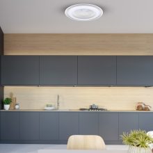 Ceiling lamp  LED ZONDA SILVER 48W with fan
