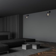 Wall lamp COLIN BLACK 1xE27