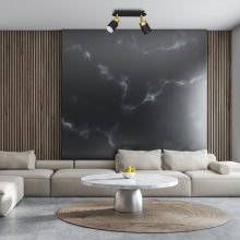 Ceiling  lamp JOKER BLACK/GOLD 2xGU10