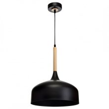 Pendant lamp TAYLOR BLACK 1xE27 60W