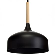 Pendant lamp TAYLOR BLACK 1xE27 60W