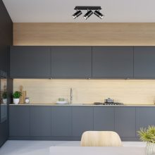 Ceiling  lamp DANI BLACK/CHROME 3xGU10