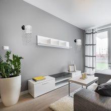 Wall lamp ALMERIA SILVER/BLACK 1xE27