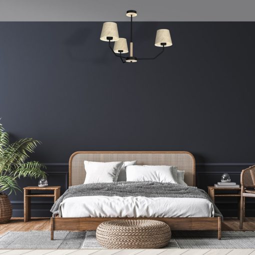 Pendant lamp ETNA Black 3xE27