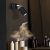 Wall lamp SOLO SAWN BLACK / PATINATED WOOD 1x mini GU10