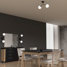 Ceiling  lamp JOY BLACK 2xE14