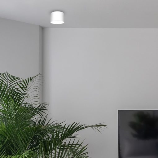 Ceiling  lamp DIXIE White  1xGX53