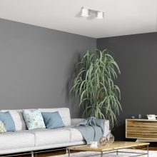Ceiling  lamp DIXIE White  2xGX53