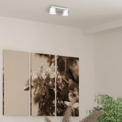 Ceiling  lamp DIXIE White  2xGX53