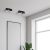 Ceiling  lamp DIXIE Black 2xGX53