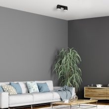 Ceiling  lamp DIXIE Black 2xGX53
