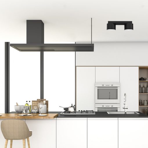 Ceiling  lamp DIXIE Black 2xGX53