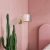 Wall lamp ZIGGY PINK Gold/Pink 1xE27