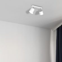 Ceiling  lamp DIXIE WHITE 2xGX53