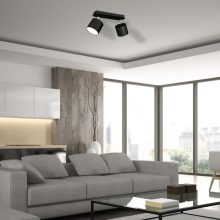 Ceiling  lamp DIXIE BLACK 2xGX53