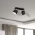 Ceiling  lamp DIXIE BLACK 2xGX53