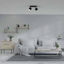 Ceiling  lamp DIXIE BLACK 2xGX53