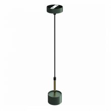 Pendant lamp ARENA GREEN/GOLD 1xGX53