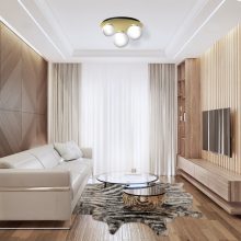 Ceiling  lamp PLATO 2xE14 + 1xE27
