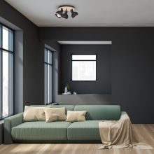 Ceiling  lamp OVAL BLACK 3xE27