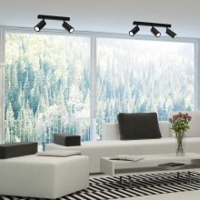 Ceiling  lamp HUDSON BLACK 2xGU10